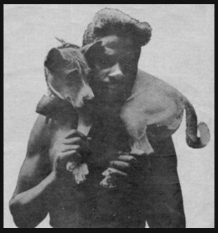 A native African carrying his Basenji to the hunt. Note the gourd tied around the Basenjis neck