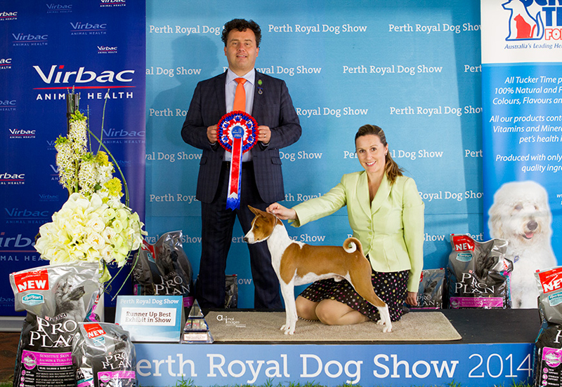 Best Exhibit In Group, RUNNER UP IN SHOW